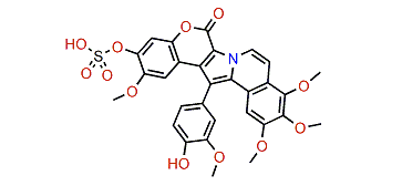 Lamellarin B 20-sulfate